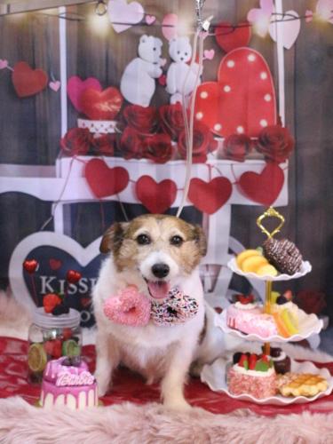 20250204こはるちゃん